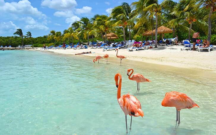 Aruba All Inclusive - CARIBE Noviembre 2026